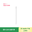 Apple/苹果 Pencil(USB-C) 磁吸触控笔手写笔苹果笔电容笔ipad笔 适用iPad 11/mini/Pro/Air