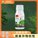 利成美久蒜菌清微生物菌剂钾硼生根抗寒抗旱拌种鱼蛋白叶面肥葱姜蒜氮磷肥 利成美久蒜菌清100毫升×5