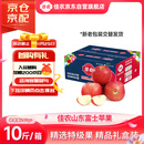 佳农 烟台红富士苹果 净重10斤 特级果 单果240g+ 生鲜水果礼盒