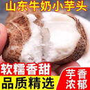 2025新鲜现挖牛奶桃子 软糯香甜 带箱5斤【净重4,5斤】