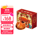 【活蟹】漁家师傅大闸蟹全母3.0-3.3两8只去绳足重鲜活螃蟹现货生鲜水产海鲜礼盒