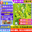 正版 少年新知杂志2025年1-10月新/2026全年/半年订阅 三联生活周刊青少年版9-16岁中小学生过刊K 抢先购【26全年】送2本书+思辨视频+专属礼+卡牌