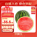 京鲜生 无籽麒麟大西瓜 1粒装 7-9斤 生鲜水果