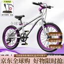 奥仕龙（AO SHI LONG）自行车儿童6-12岁男孩青少年变速学生车中大童20寸小孩单车山地车 【注：按照需求拍以下规格】 16寸