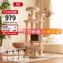 兽牌森林猫爬架大型猫树猫窝一体豪华剑麻猫架太空舱缅因大猫暖冬适用 森林【经典款】