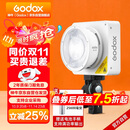 神牛（Godox）ML100Bi摄影灯双色温可调便携夜拍灯人像补光灯户外控制室电影视频摄像灯  ML100Bi【官方标配】