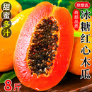 京地达海南红心牛奶木瓜净含量8斤单果400g当季水果源头直发包邮