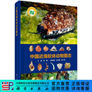 [按需印刷]中国近海软体动物图志 科学出版社