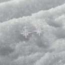 APM Monaco六芒星银耳钉女耳环银耳饰时尚饰品礼物送女友