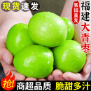 粤迎福建青枣牛奶枣新鲜水果脆甜枣贵妃蜜枣当季孕妇可吃现摘现发 5斤臻选果【香甜脆口】净重4.5斤