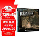 拍出绝世婚礼 专业摄影师的婚礼摄影案例及流程解密（摄影客出品）