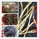 特产优联广西马山土黑豆又叫黑饭豆黑眉豆老品种肾形五谷杂粮 3斤