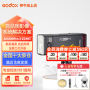 神牛AD200pro二代闪光灯锂电池口袋便携外拍摄影补光灯单反相机高速TTL闪光灯 AD200proII【入会享好礼-灯架/惊喜礼包】 官方标配（引闪器套餐需备注相机型号）