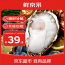 鲜京采 鲜活生蚝4XL 净重5斤 10-13只 鲜活到家 生鲜海鲜 源头直发