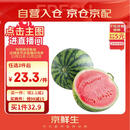 京鲜生 无籽麒麟西瓜 1粒装 单果5-7斤 生鲜水果