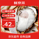 鲜京采 鲜活生蚝5XL 净重5斤 9-12只 鲜活到家 生鲜海鲜 源头直发