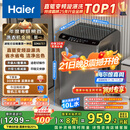 海尔（Haier）波轮洗衣机全自动小型家用10公斤EB100B32Mate1 直驱变频京东自营家电国家补贴一级能效出租房宿舍