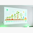 宝视来（BOXLIGHT）康复教育互动益智教具