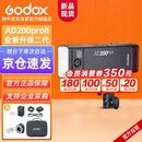 神牛AD200proII二代闪光灯外拍补光灯高速同步TTL频闪便携摄影补光灯户外摄影灯【官方标配】