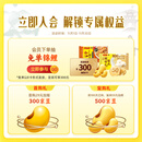 湾仔码头荠菜猪肉水饺1800g90只 早餐夜宵速冻饺子面点生鲜半成品