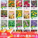 花沃里20款花种子套餐 花卉种子组合太阳花凤仙花向日葵四季种野花