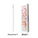 Apple/苹果 二手 Pencil Pro 24年新款  air6/pro24/mini7 电容笔 99新 pro （原厂包装） 店铺质保（送专业软件）