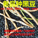 特产优联广西马山土黑豆又叫黑饭豆黑眉豆老品种肾形五谷杂粮 1斤