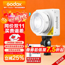 神牛摄影灯双色温可调便携夜拍灯人像补光灯户外控制室电影视频摄像灯 ML100Bi L【官方标配】