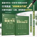 行书攻略 整篇书写与一字多写+常用3000字（实战应用） 行书技法实战教程行书字帖临摹练习 数艺设出品