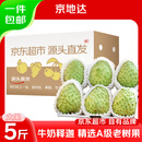 京地达云南释迦果5斤单果350g+京东自营新鲜水果摩尼果 源头直发包邮