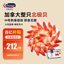 Clearwater北极清水加拿大北极贝1kgM码 51-70只 0添加餐饮装  