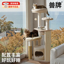 兽牌奶酪猫爬架小户型不占地实木猫架猫树猫窝猫抓板一体带太空舱暖冬 奶酪猫爬架
