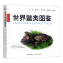 【官方正版】观赏龟图鉴305786 世界鳖类图鉴  33543-1 周婷,陈如江,韩克勤  龟类 鳖类  水产 动物 世界鳖类图鉴