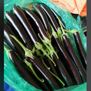 茄子（蔬菜+生鲜+调料）