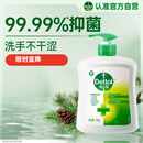 滴露（Dettol）洗手液松木500g瓶 健康抑菌消毒非补充装 儿童家庭用清爽去油