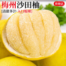 京地达柚子梅州沙田柚净重8斤单果1.5斤正宗沙田柚新鲜水果源头直发包邮