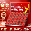 裕琼大凉山红颜草莓99牛奶油草莓【顺丰/JD-多地次日达】水果礼盒装 【源头直采，锁鲜直达】高性价比精美礼盒装2盒 优选果