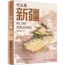 什么是新疆 星球研究所 著 著 中信出版社 书籍 图书