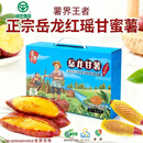 岳龙红 [绿色食品]正宗红瑶甘薯红薯蜜薯地瓜赛烟薯 高甜软糯送礼老孕童 岳龙红甘薯一级品蓝礼盒（5斤） 中果（5~6两左右/个）