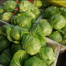 牛心卷心菜（蔬菜+生鲜+调料）