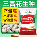 德圣致远正品带壳花生种濮科花20号出米率高出油率高厂家直销种子大全批发 原装濮科花20