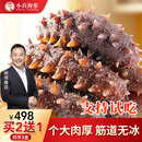 小兵海参【买2送1】鲜食海参辽刺参免泡发独立包装开袋即食 【买2盒送1盒】到手3盒