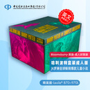 现货 英文原版 哈利波特1-7册 成人版精装 盒装 Harry Potter套装 JK罗琳 the Philosopher's Stone 国外英语文学科幻 哈利波特 盒装  JK罗琳 精装