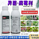 40%异菌腐霉利果树蔬菜番茄辣椒柑橘葡萄草莓灰霉病菌核病专用药 40%异菌·腐霉利500g*20瓶/箱