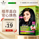 施华蔻（Schwarzkopf）怡然染发霜2.0/9闪亮珍珠黑 染发剂黑色一洗黑男女盖白 热门商品