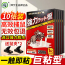 坤宁王粘鼠板超强力粘板灭老鼠贴药一窝端神器驱捕鼠器家用大号加厚10张