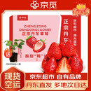 京觅 丹东草莓99红颜奶油水果礼盒生鲜净重2斤装单果20-30g源头直发