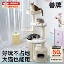 兽牌慕斯实木猫爬架不占地猫架猫窝猫抓板一体带太空舱大猫暖冬可用 慕斯