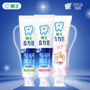 狮王牙膏牙刷套装组合 美白清新口腔套装380g