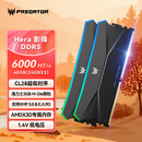宏碁掠夺者（PREDATOR）48G(24G×2)套装 DDR5 6000频率 台式机内存条 Hera影锋系列 RGB灯条(C28) 潜影黑 AI电脑配件